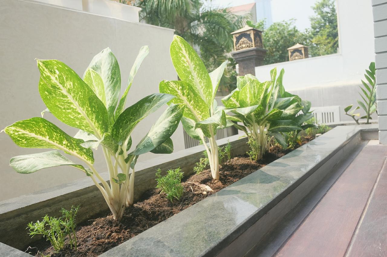 Greenwood Villa Saigon Ho Chi Minh-stad Buitenkant foto